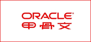 Oracle 已有3个系统对接方案,共计192个单据接口对接方案